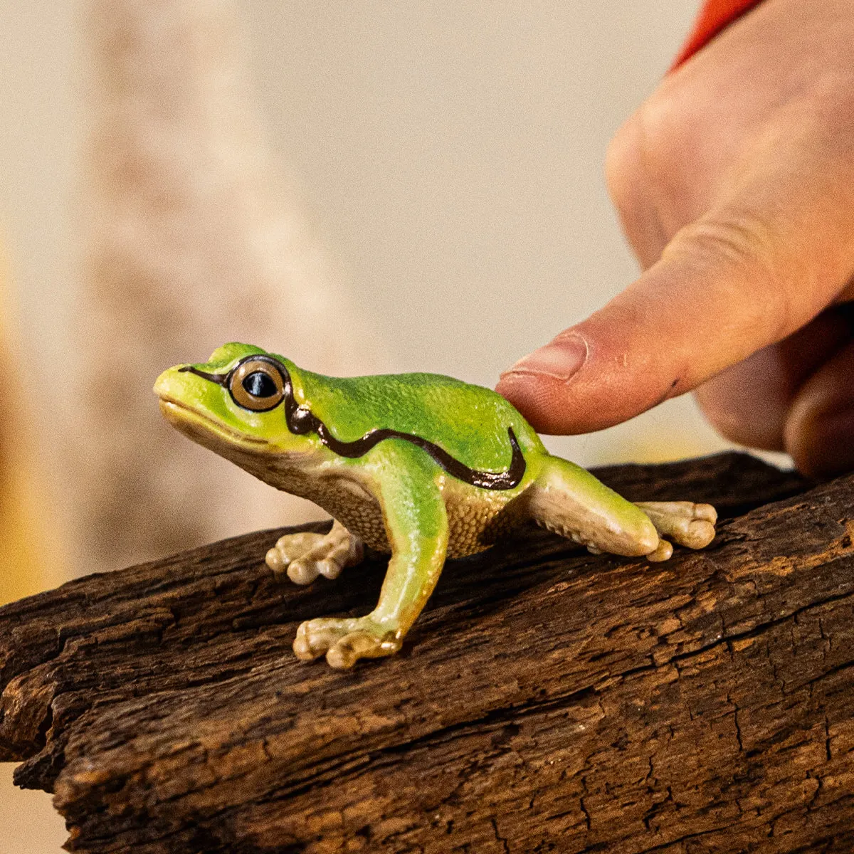 schleich WILD LIFE Europäischer Laubfrosch – Bild 2