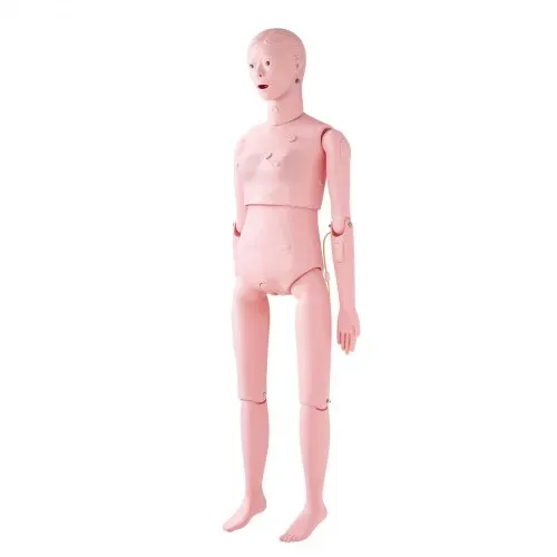 VEVOR Weibliche Krankenpflege Übungspuppe Multifunktional Patientenversorgungssimulator 1530 x 450 x 210 mm, Multifunktionale Ausbildung Pflege-Trainingspuppe Gleichmäßige Skalenformen Übungspuppe – Bild 10