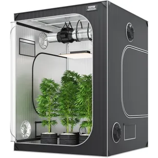 VEVOR Grow-Zelt, 152,4 x 152,4 x 203,2 cm, Indoor-Growzelt, hydroponische Fenstertür-Ablage VEVOR Grow-Zelt, 152,4 x 152,4 x 203,2 cm, Indoor-Growzelt, hydroponische Fenstertür-Ablage