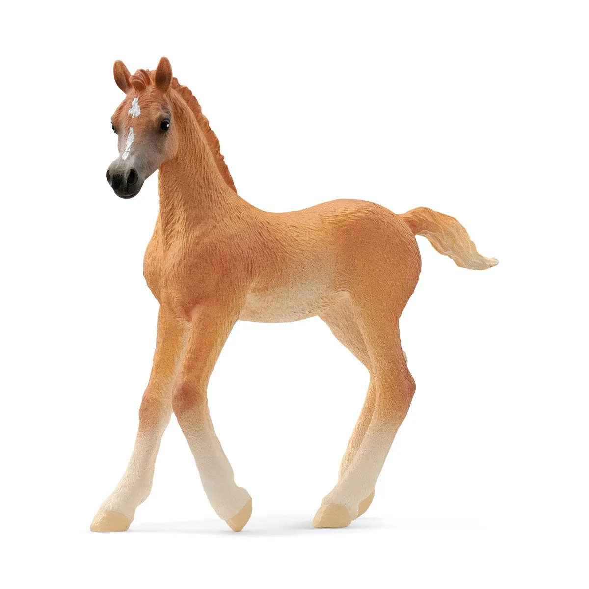 schleich HORSE CLUB Araber Fohlen schleich HORSE CLUB Araber Fohlen