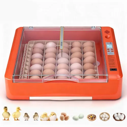 VEVOR Brutautomat Vollautomatisch 36-Eier, Eierinkubator, mit Eierwender, Temperatur- & Feuchtigkeitsregelung, Inkubator Brutmaschine zum Ausbrüten von Küken, Enten, Gänsen & Wachteln VEVOR Brutautomat Vollautomatisch 36-Eier, Eierinkubator, mit Eierwender, Temperatur- & Feuchtigkeitsregelung, Inkubator Brutmaschine zum Ausbrüten von Küken, Enten, Gänsen & Wachteln