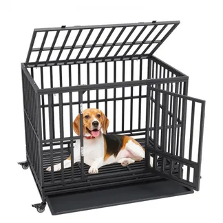 VEVOR Hundekäfig 119x81x99cm Hundebox aus rostfreiem verzinktem Rohr mit elektrostatischer Lackierung Hundegitterbox mit 3 Türen und abnehmbarer Auffangschale Hundetransportbox Transportkäfig VEVOR Hundekäfig 119x81x99cm Hundebox aus rostfreiem verzinktem Rohr mit elektrostatischer Lackierung Hundegitterbox mit 3 Türen und abnehmbarer Auffangschale Hundetransportbox Transportkäfig