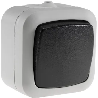 Feuchtraum Wechsel-Schalter, IP44 250V~/ 10A, inkl. AP-Rahmen, grau Feuchtraum Wechsel-Schalter, IP44 250V~/ 10A, inkl. AP-Rahmen, grau