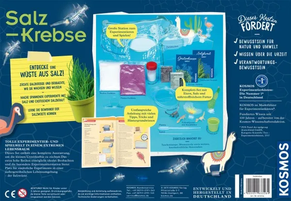 Kosmos Salzk-Kebse – Bild 2