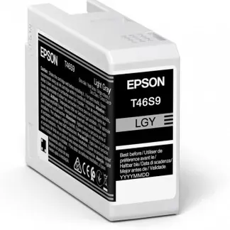Epson UltraChrome Pro Druckerpatrone 1 Stück(e) Original Hellgrau Epson UltraChrome Pro Druckerpatrone 1 Stück(e) Original Hellgrau