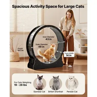 VEVOR Katzenlaufrad, 1080 mm Innendurchmesser, Laufrad aus Holz für 8,6-12,7 kg Katzen, Katzenlaufband mit Teppichlauffläche & Verriegelungsmechanismus, leises Spielzeug für Wohnungkatzen, Schwarz VEVOR Katzenlaufrad, 1080 mm Innendurchmesser, Laufrad aus Holz für 8,6-12,7 kg Katzen, Katzenlaufband mit Teppichlauffläche & Verriegelungsmechanismus, leises Spielzeug für Wohnungkatzen, Schwarz