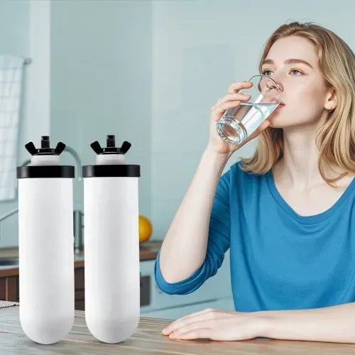 VEVOR Schwerkraft-Wasserfiltersystem Ersatz Wasserfilter-Ersatz Reinigungselemente, Keramik-Ersatzfilter, leicht austauschbarer Wasserfilter, , kompatibel mit den meisten Marken, 2 Stk. weiß – Bild 7