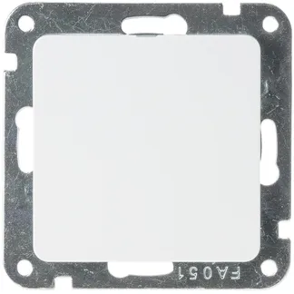 DELPHI Blind-Abdeckung / Blende, Weiß DELPHI Blind-Abdeckung / Blende, Weiß