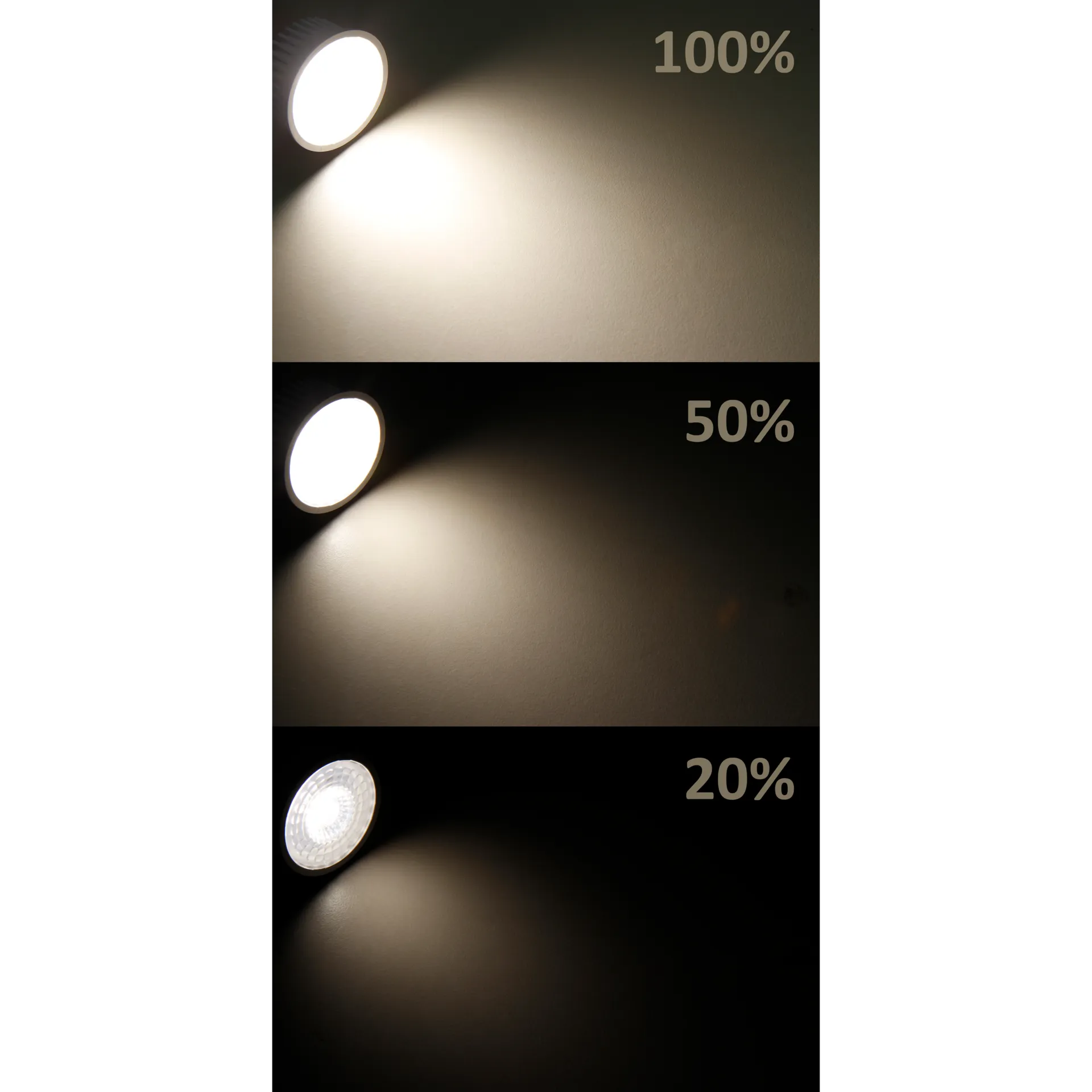 LED-Modul McShine ''MCOB'' 5W, 400lm, 230V, 50x25mm, warmweiß, 3000K, step-dimmbar – Bild 2