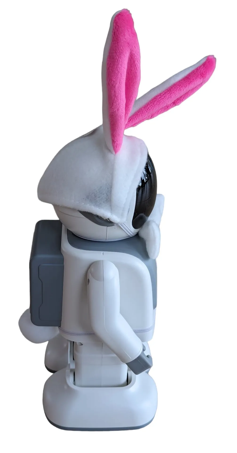 Robert - zbh. Verkleidung "Easter Edition" – Bild 4