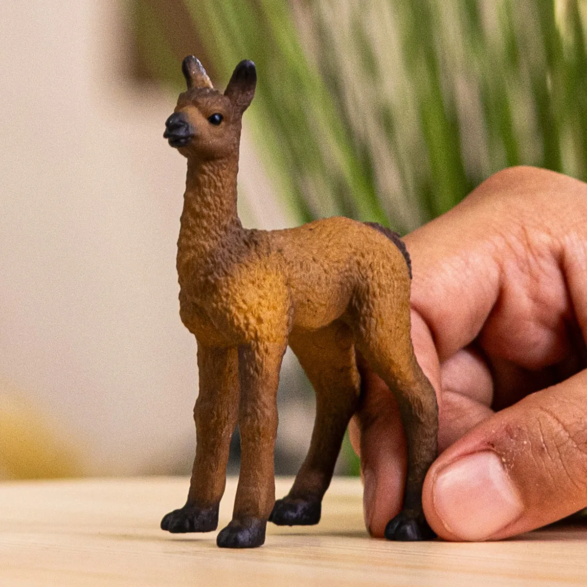 schleich FARM WORLD Lama Fohlen – Bild 2