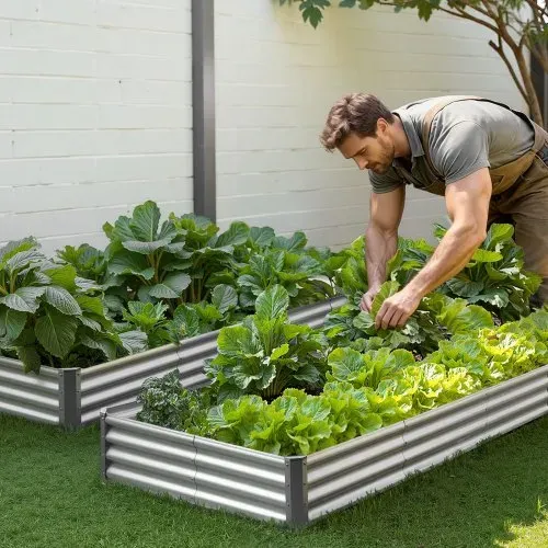 VEVOR Hochbeet Metall 3600x1200x290 mm, Pflanzbeet, Gemüsebeet, Pflanzkasten mit offenem Boden & abgerundeten Kanten, Blumenbeet, Kräuterbeet, für Gemüse, Blumen, Kräuter & Sukkulenten, verzinkt – Bild 7