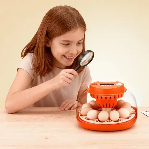 VEVOR Brutautomat Vollautomatisch 12-Eier, Eierinkubator, mit Eierwender, Temperatur- & Feuchtigkeitsregelung, Inkubator Brutmaschine zum Ausbrüten von Küken, Enten, Gänsen & Wachteln – Bild 7