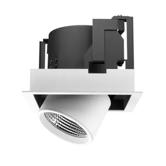 Synergy 21 LED Downlight weiss, schwenkbar, neutralweiß Synergy 21 LED Downlight weiss, schwenkbar, neutralweiß