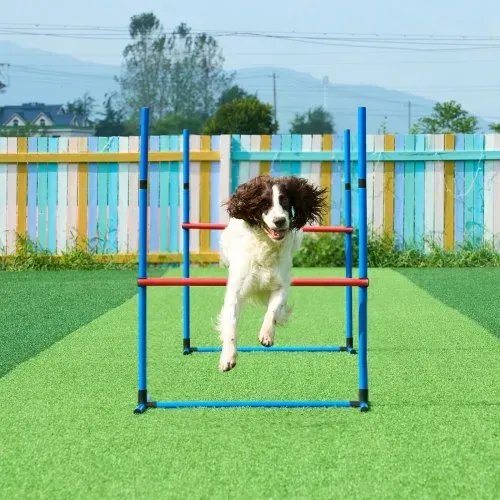 VEVOR Agility-Trainingsgerät für Hunde, 7-teiliges Set mit verstellbaren hohen Hürden, 6 Slalomstangen, 2 Tunneln, Sprungring, Pausenbox, 3 Frisbees, Pfeife, faltbarem Napf, Hindernisparcours-Set für Welpen mit 3 Taschen – Bild 7