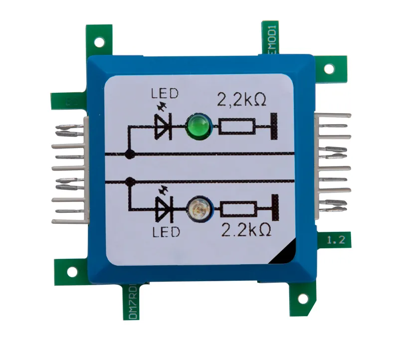 ALLNET Brick’R’knowledge LED dual auf Masse grün & blau Signal durchverbunden ALLNET Brick’R’knowledge LED dual auf Masse grün & blau Signal durchverbunden