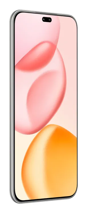 Honor 400 Pro 17 cm (6.7") MagicOS 9.0 5G 12 GB 512 GB 5300 mAh Grau – Bild 3