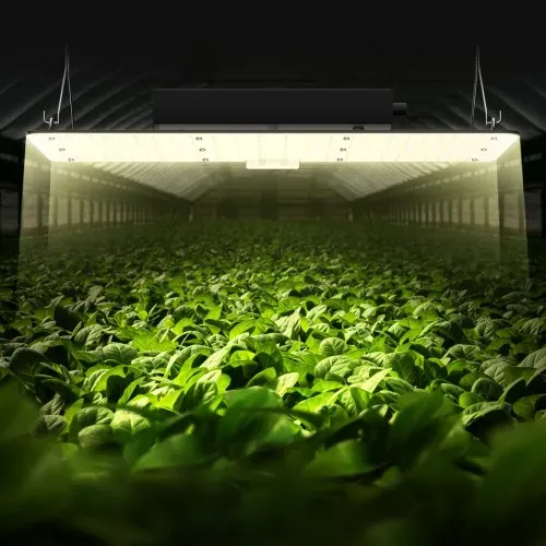 VEVOR 200W Dimmbar Pflanzenlampe 30x40x12cm LED Pflanzenlampe 544x Samsung 281B Vollspektrum 26000lm Lichtstrom Wachstumslampe 760nm Infrarot-Wellenlänge Pflanzenlicht Gewächshaus Anbauzelt Balkon – Bild 7