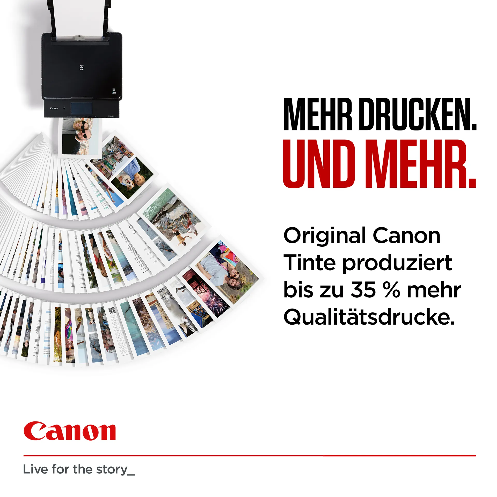 Canon PGI-530 PGBK – Bild 6