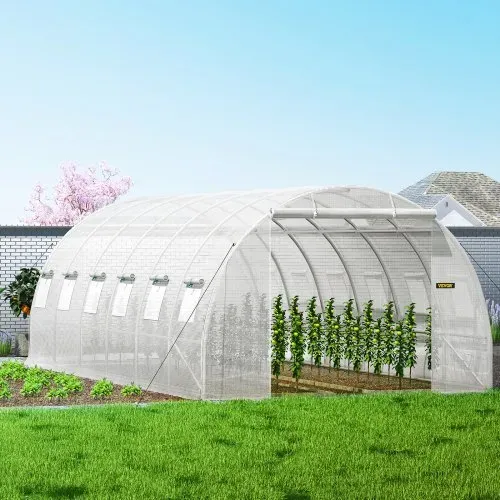 VEVOR Foliengewächshaus 6,1x3x2,1m Bogendach Gewächshaus Verzinkter Stahlrahmen 140 g/cm³ PE Mobiles Treibhaus Wasserdicht und UV-Beständig Frühbeet Geeignet für Anbau von Gemüse Blumen Pflanzen – Bild 7