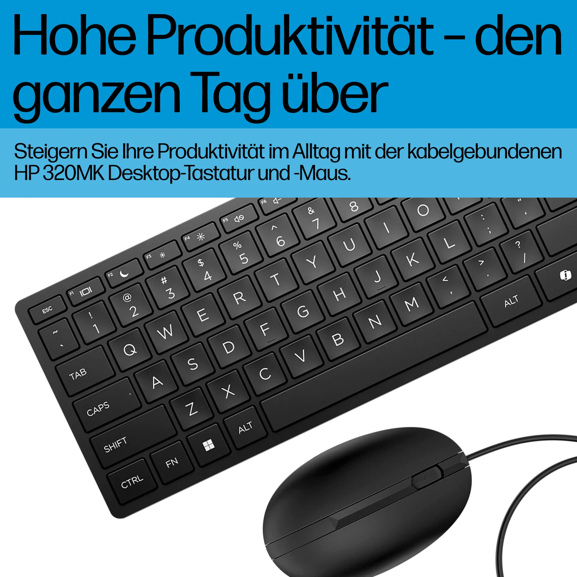 HP Wired Desktop 320MK Maus und Tastatur – Bild 2