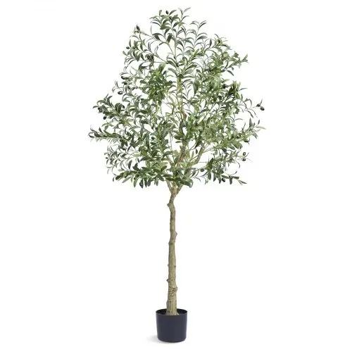 VEVOR Olivenbaum Künstlich 81x81x179cm Kunstpflanze PE Künstliche Pflanzen Fake Plastikpflanzen im Topf Kunstblume Geruchslos wasserdicht Ideal zur Dekoration von Schlafzimmer Arbeitszimmer Wohnzimmer VEVOR Olivenbaum Künstlich 81x81x179cm Kunstpflanze PE Künstliche Pflanzen Fake Plastikpflanzen im Topf Kunstblume Geruchslos wasserdicht Ideal zur Dekoration von Schlafzimmer Arbeitszimmer Wohnzimmer