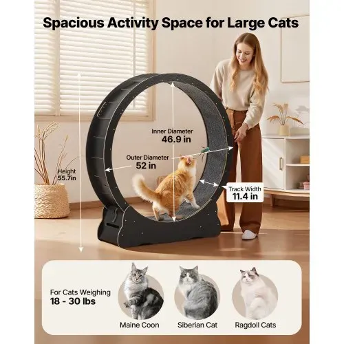 VEVOR Katzenlaufrad, 118 cm Innendurchmesser, Laufrad aus Holz für Katzen bis 13,6 kg, Katzenlaufband mit Teppichlauffläche & Verriegelungsmechanismus, leises Spielzeug für Wohnungkatzen, Schwarz VEVOR Katzenlaufrad, 118 cm Innendurchmesser, Laufrad aus Holz für Katzen bis 13,6 kg, Katzenlaufband mit Teppichlauffläche & Verriegelungsmechanismus, leises Spielzeug für Wohnungkatzen, Schwarz