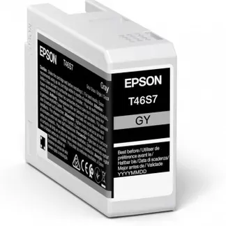 Epson UltraChrome Pro Druckerpatrone 1 Stück(e) Original Grau Epson UltraChrome Pro Druckerpatrone 1 Stück(e) Original Grau