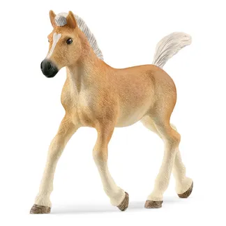 schleich HORSE CLUB 13951 Kinderspielzeugfigur schleich HORSE CLUB 13951 Kinderspielzeugfigur