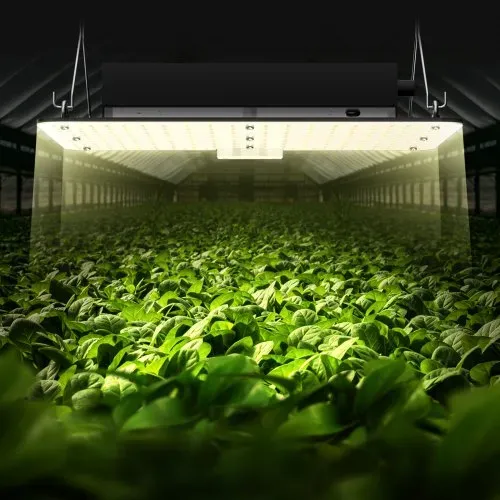 VEVOR 150W Dimmbar Pflanzenlampe LED 30x40x12cm Pflanzenlampe 50,000 Stunden Vollspektrum 19000lm Lichtstrom Wachstumslampe 760nm Infrarot-Wellenlänge Pflanzenlicht Gewächshäuser Anbauzelte Balkone – Bild 7