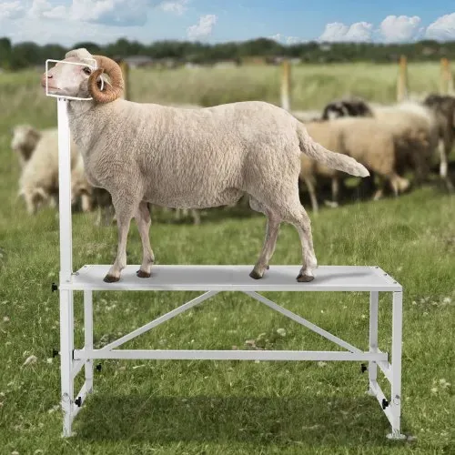 VEVOR Trimmständer, 1195 x 584 mm Viehstand, Metallstand zum Melken und Scheren von Vieh, 533 bis 838 mm verstellbare Höhe, mit Kopfstück und Nasenschlaufe, 227 kg Ladegewicht, weiß – Bild 7