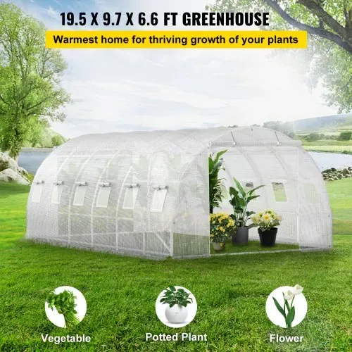 VEVOR Foliengewächshaus 6,1x3x2,1m Bogendach Gewächshaus Verzinkter Stahlrahmen 140 g/cm³ PE Mobiles Treibhaus Wasserdicht und UV-Beständig Frühbeet Geeignet für Anbau von Gemüse Blumen Pflanzen VEVOR Foliengewächshaus 6,1x3x2,1m Bogendach Gewächshaus Verzinkter Stahlrahmen 140 g/cm³ PE Mobiles Treibhaus Wasserdicht und UV-Beständig Frühbeet Geeignet für Anbau von Gemüse Blumen Pflanzen