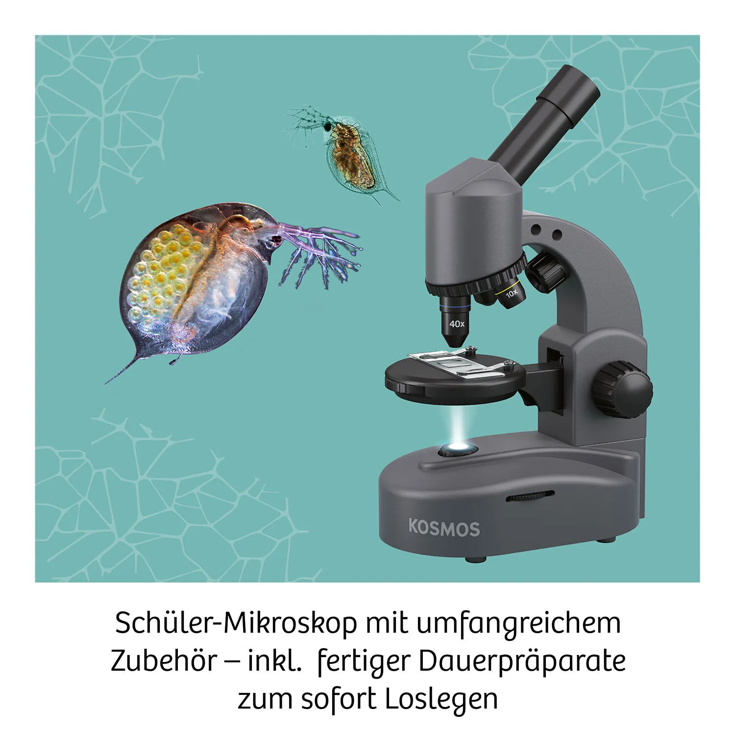 Kosmos 33414758 Wissenschafts-Bausatz & -Spielzeug für Kinder – Bild 3