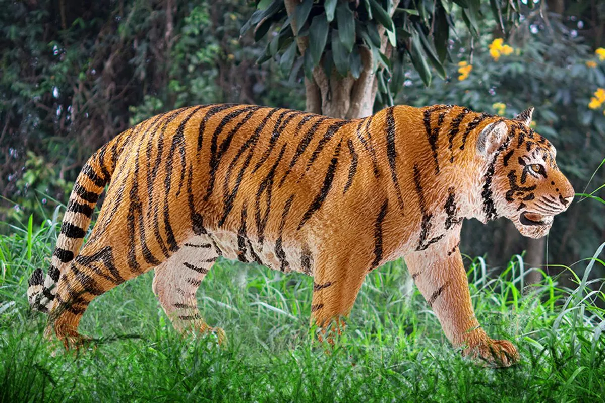 schleich WILD LIFE Tiger – Bild 2