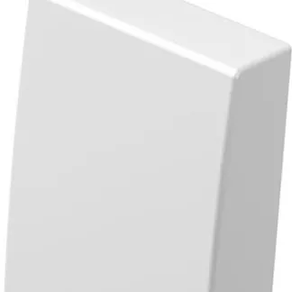 TEM Serie Modul Wippen BUTTON1M PW TEM Serie Modul Wippen BUTTON1M PW