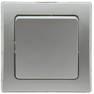 DELPHI Taster 0-250V~/ 10A, inkl. Rahmen, UP, silber DELPHI Taster 0-250V~/ 10A, inkl. Rahmen, UP, silber