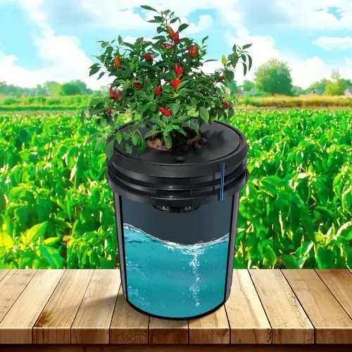 VEVOR DWC Hydroponics Grow System, Hydroponisches Anbausystem, Deep Water Culture 5-Gallonen 8 Eimer, DWC-System mit Luftpumpe, Luftsteinen und Wasserstandsanzeige für Blattgemüse – Bild 7