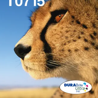 Epson Multipack 4-colours T071 EasyMail Epson Multipack 4-colours T071 EasyMail