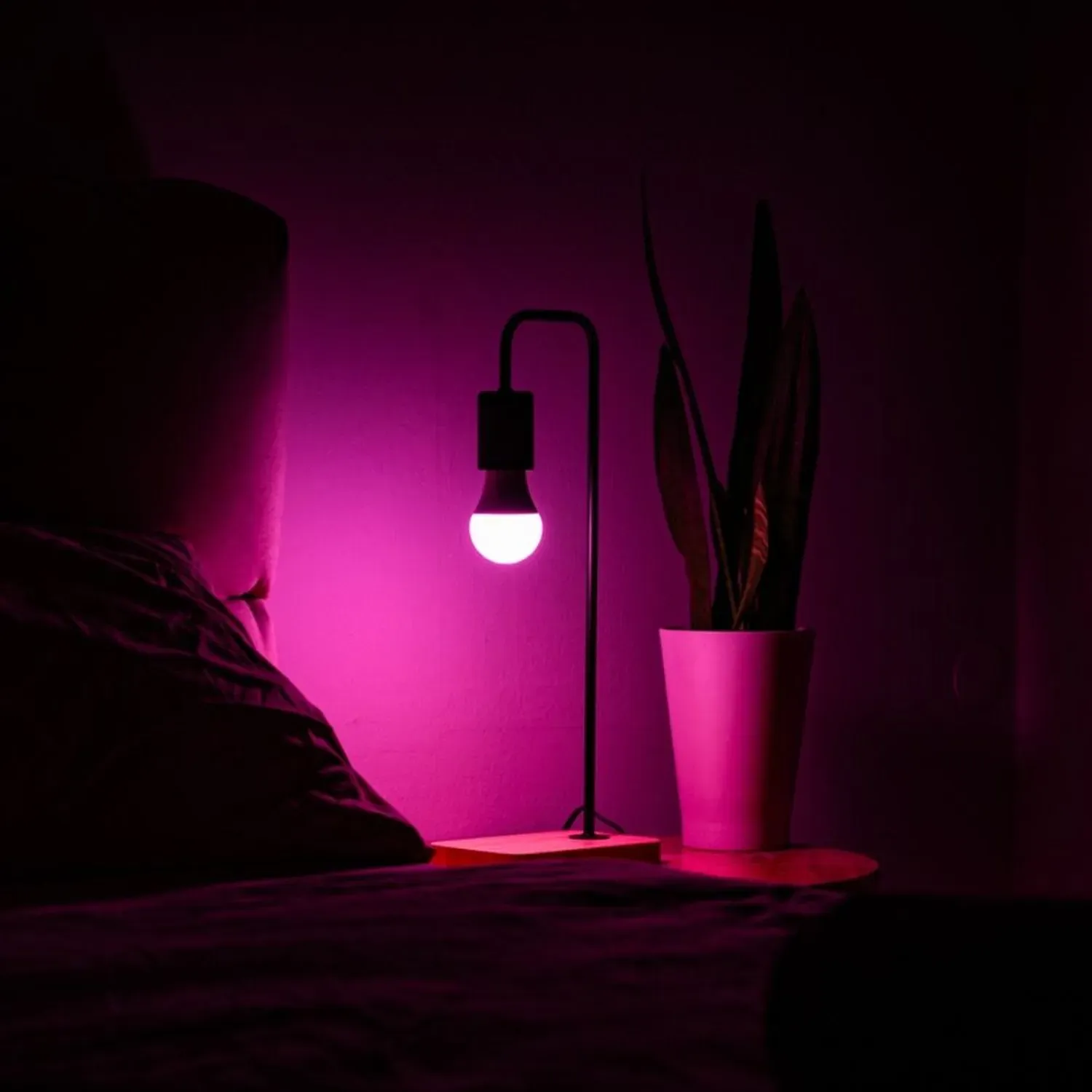 Shelly · Plug & Play · "Multicolor Bulb E27 Gen3" · LED Lampe · dimmbar · Messfunktion · WLAN · BT – Bild 3