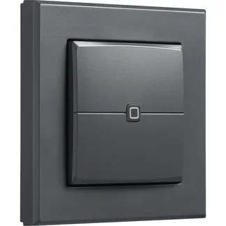 Wandtaster – 2-fach (HmIP-WRC2-A-2), Schalter Wandtaster – 2-fach (HmIP-WRC2-A-2), Schalter