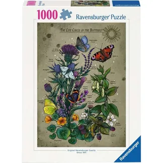 Puzzle – Lebenskreis Schmetterling Puzzle – Lebenskreis Schmetterling