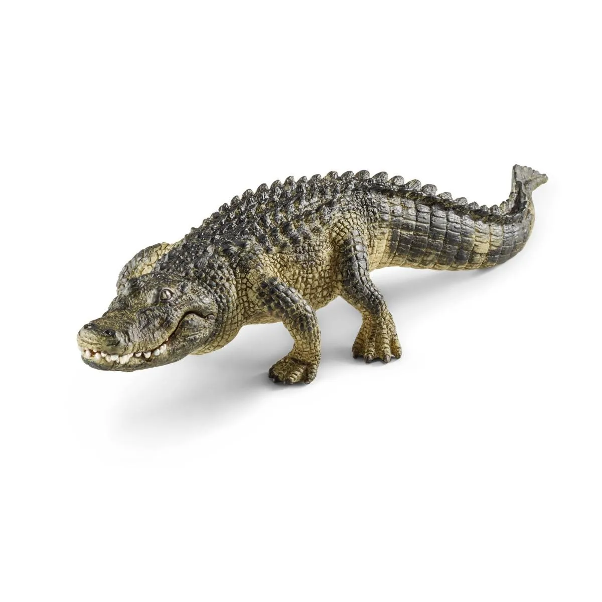 schleich WILD LIFE Alligator – Bild 2