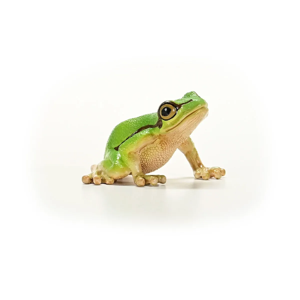 schleich WILD LIFE Europäischer Laubfrosch – Bild 6