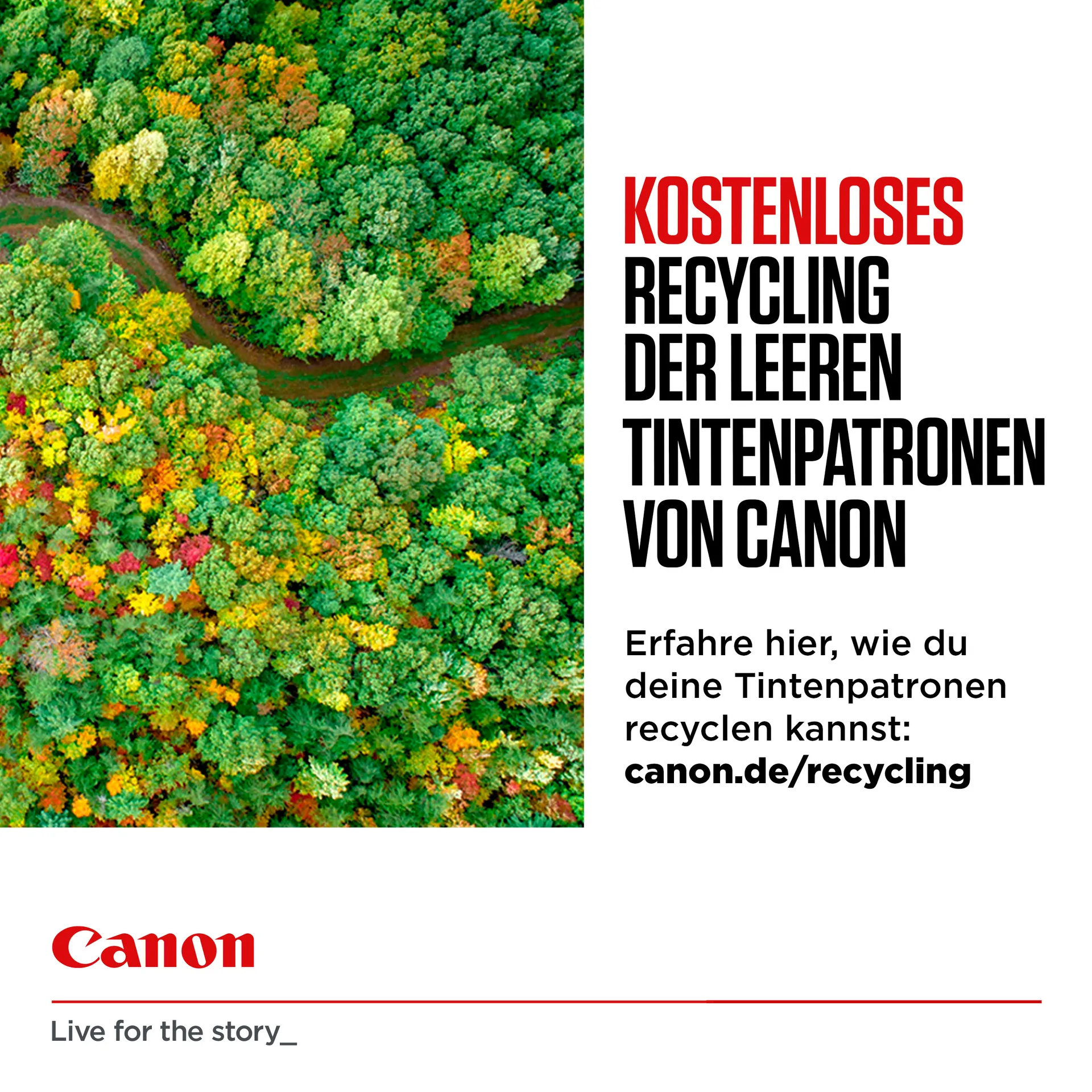 Canon CLI-526 BK/C/M/Y Photo Value Pack – Bild 6