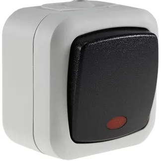 Feuchtraum Kontroll-Schalter, IP44 250V~/ 10A, inkl. AP-Rahmen, grau Feuchtraum Kontroll-Schalter, IP44 250V~/ 10A, inkl. AP-Rahmen, grau