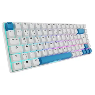 SKILLER SGK50 S3 PBT, Gaming-Tastatur SKILLER SGK50 S3 PBT, Gaming-Tastatur