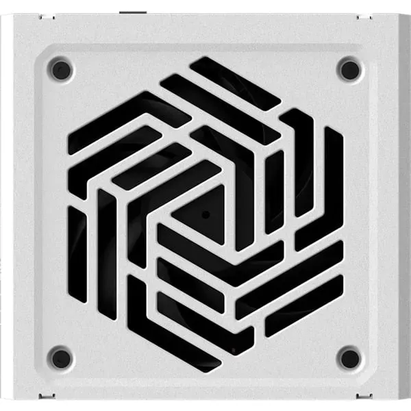 FSP VITA GM 1000W White Netzteil ATX ATX3.1 Weiß – Bild 8