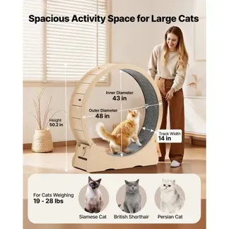 VEVOR Katzenlaufrad, 1080 mm Innendurchmesser, Laufrad aus Holz für 8,6-12,7 kg Katzen, mit Teppichlauffläche & Verriegelungsmechanismus, leises Spielzeug für Wohungkatzen VEVOR Katzenlaufrad, 1080 mm Innendurchmesser, Laufrad aus Holz für 8,6-12,7 kg Katzen, mit Teppichlauffläche & Verriegelungsmechanismus, leises Spielzeug für Wohungkatzen