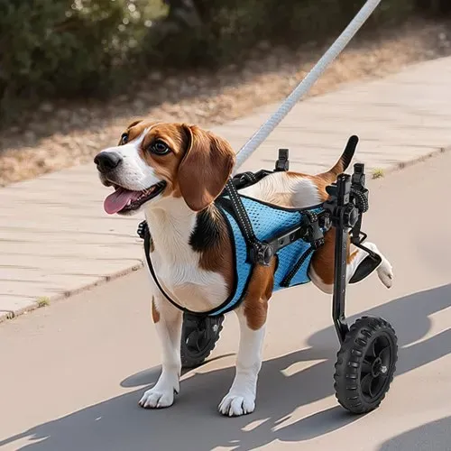 VEVOR Hunderollstuhl für Hinterbeine, verstellbarer Haustierrollstuhl, leichter Hundewagen mit stoßdämpfenden Rädern, Gehhilfe für behinderte, gelähmte, verletzte Hunde bis 10 kg, S – Bild 7
