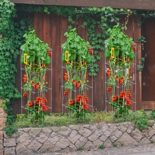 VEVOR Tomatenkäfige, 30 x 30 x 117 cm, 5er-Set quadratische Pflanzenstützkäfige, robuste, silberne Tomatentürme aus PVC-beschichtetem Stahl zum Klettern von Gemüse, Pflanzen, Blumen und Früchten – Bild 7